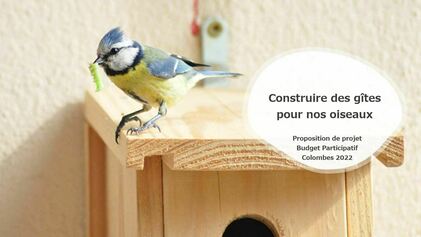construire_des_gîtes_pour_nos_oiseaux.JPG