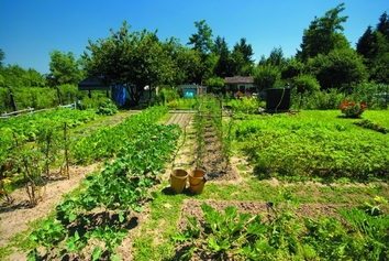 Evasion au jardin, un jardin partagé au cœur du quartier EUROPE.